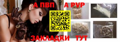 шишки Изобильный