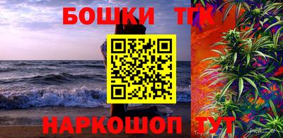 шишки Изобильный