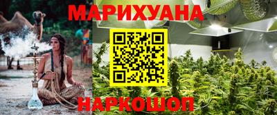 шишки Изобильный