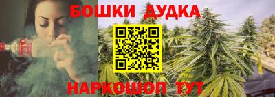 шишки Изобильный