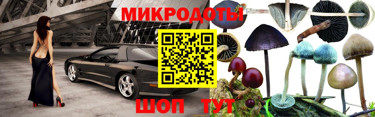 Псилоцибиновые грибы Cubensis  Вход с VPN  Магадан 